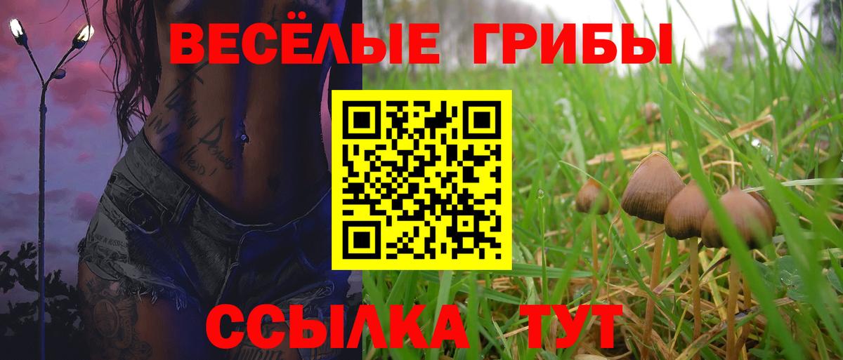 Галлюциногенные грибы GOLDEN TEACHER Саянск